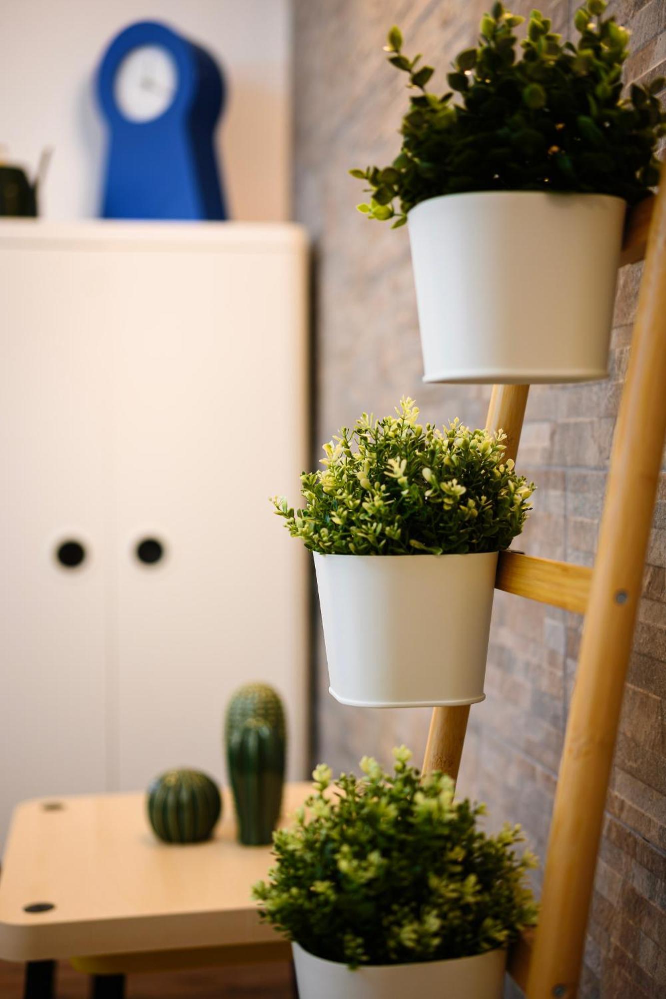Appartamento Sebino 15 - Monolocale Cool